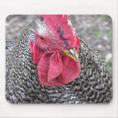 A Fine Feathered Face Mouse Pad by ruthartphoto