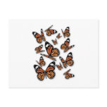 A Flight of Butterflies Postcards