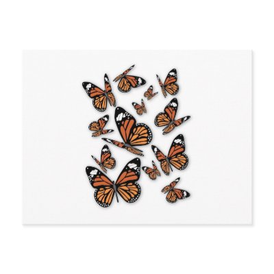 A Flight of Butterflies by White_Wedding