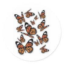 A Flight of Butterflies