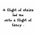 A flight of stairs led meonto a flight of fancy . t-shirts