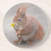 A Flower for You Coaster