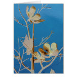 A Flowering Tree The Court Yard of Wonders Card