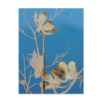 A Flowering Tree The Court Yard of Wonders Post Cards by MyOtherPlanet