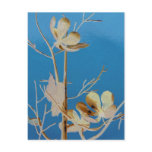 A Flowering Tree The Court Yard of Wonders postcards