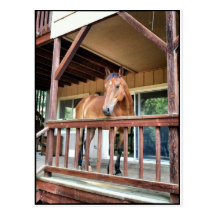 A forever home postcard