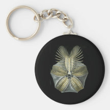 A Fossil Sea Urchin Keychains