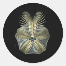 A Fossil Sea Urchin Round Stickers