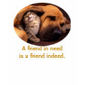 "A friend in need" Shirt