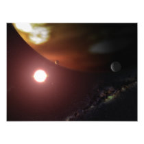 A gas giant planet orbiting a red dwarf star