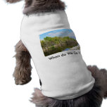 A Gentle    Stream pet clothing