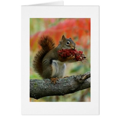 A gift for you cards by chelseaonline