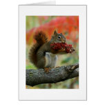 A gift for you cards