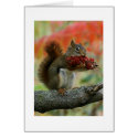 A gift for you cards