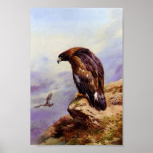 A Golden Eagle Posters