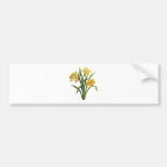 A Golden Host of Embroidered Daffodils Bumper Stickers