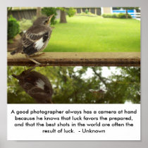 A good photographer poster