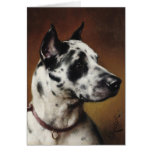 A Great Dane Card