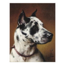A Great Dane Invitation