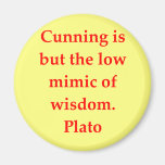 A great Plato quote Refrigerator Magnet