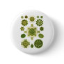A Green Algae Button