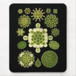A Green Algae Mouse Pad