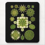 A Green Algae Mouse Pad