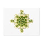 A Green Algae Postcards