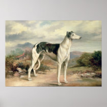 A Greyhound in a hilly landscape Posters