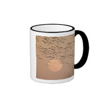 A group of migratory snow geese, Grus Mugs