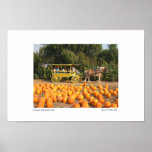 A hayride at the pumpkin patch posters
