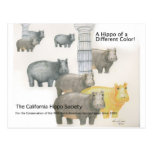 A Hippo of a Differnt Colour! Post Card