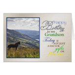 A horse birthday card for grandson.