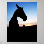 A horse in the sunset