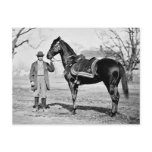 A Horse Named Cincinnati, 1865 Postcards