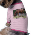 a horse of a different colour pet clothing