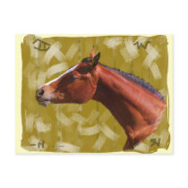A Horse, Of Course!...Postcard.