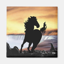 A horse silhouette and waterfall magnet