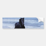 A horse wild and free bumper stickers