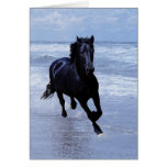 A horse wild and free cards