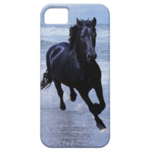 A horse wild and free iPhone 5 case
