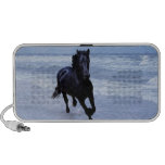 A horse wild and free notebook speakers