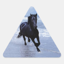 A horse wild and free triangle sticker