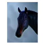 A horses curiosity post card