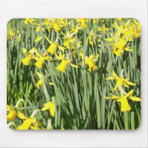 A host of golden daffodils mousemat
