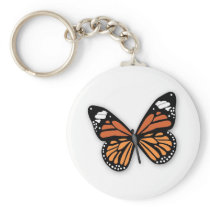 A Jewelled Monarch Butterfly