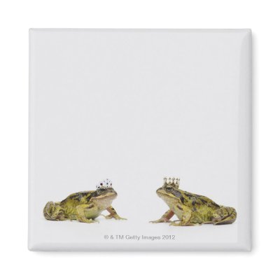 a king and queen frog looking at each other fridge magnet by prophoto