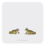 a king and queen frog looking at each other square sticker
