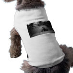 A Kiss in the Rain Dog Clothing