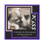 A Kiss... Magnet
